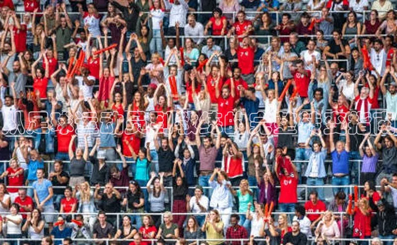 南宫app注册赛富乐斯从足球运动员到教练的完整转变指南