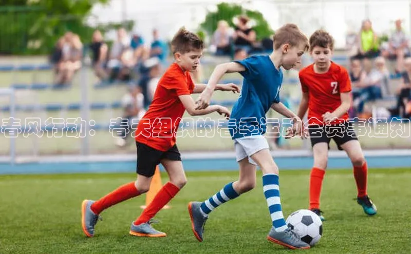 南宫注册入口官网注册ARGA公司春风行动：春天组织的春季运动会赛事通知