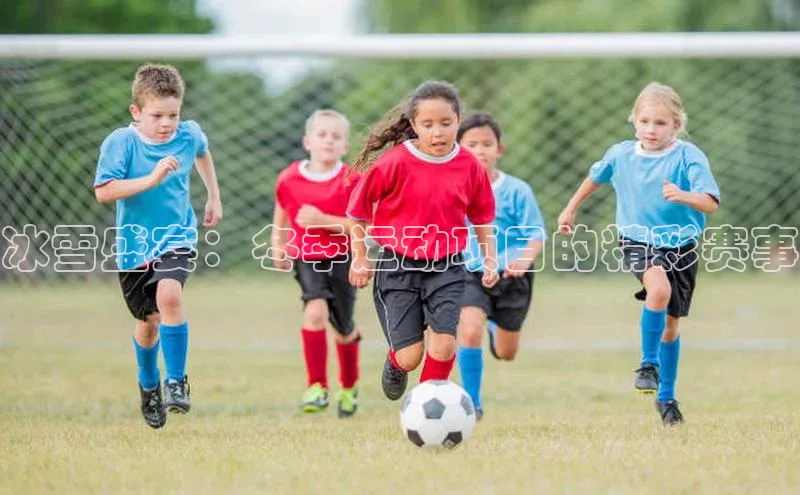 冰雪盛宴：冬季运动项目的精彩赛事