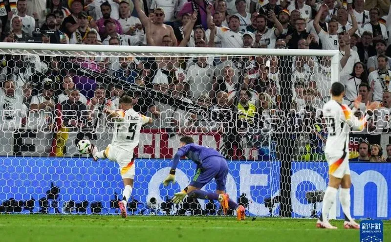 动物运动会：自然界的竞技与和谐