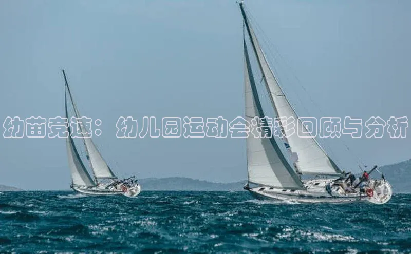 幼苗竞速：幼儿园运动会精彩回顾与分析