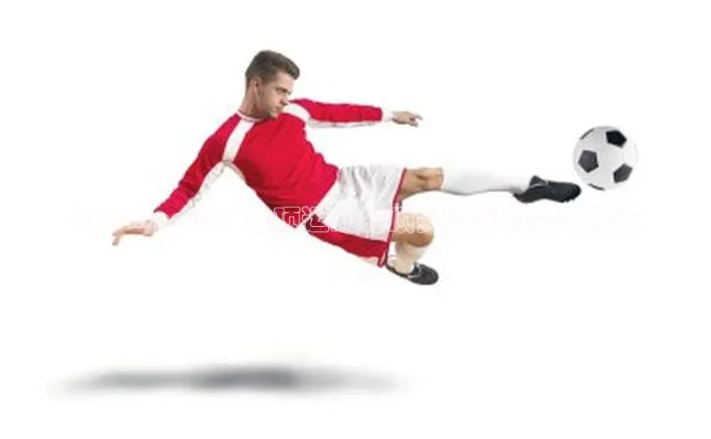 Qwensports：各项运动的顶尖高手和赛事冠军