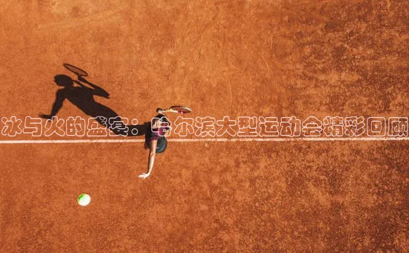 冰与火的盛宴：哈尔滨大型运动会精彩回顾