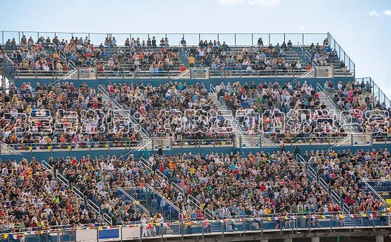 力量与激情：摔跤运动的视觉盛宴