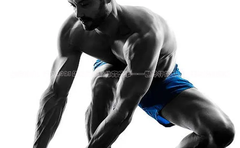 全景视角：深入2023年国际顶级体育盛事——世界杯的幕后故事与精彩瞬间