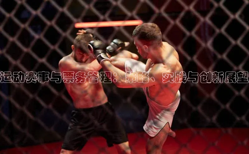 运动赛事与票务管理：策略、实践与创新展望