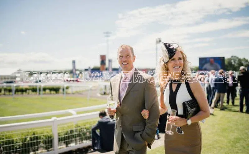 日本风采：2023年国际体育盛事的全貌