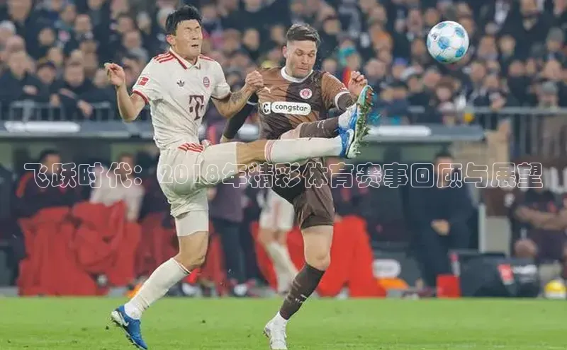 飞跃时代：2018年精彩体育赛事回顾与展望
